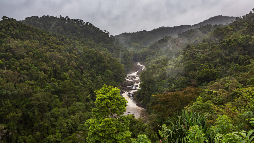 Biodiversity Credits: A New Way of Funding Nature Protection