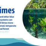 Blue carbon: A promising new way to  mitigate climate change 