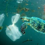 World Environment Day 2023: A Call to Action to Beat Plastic Pollution