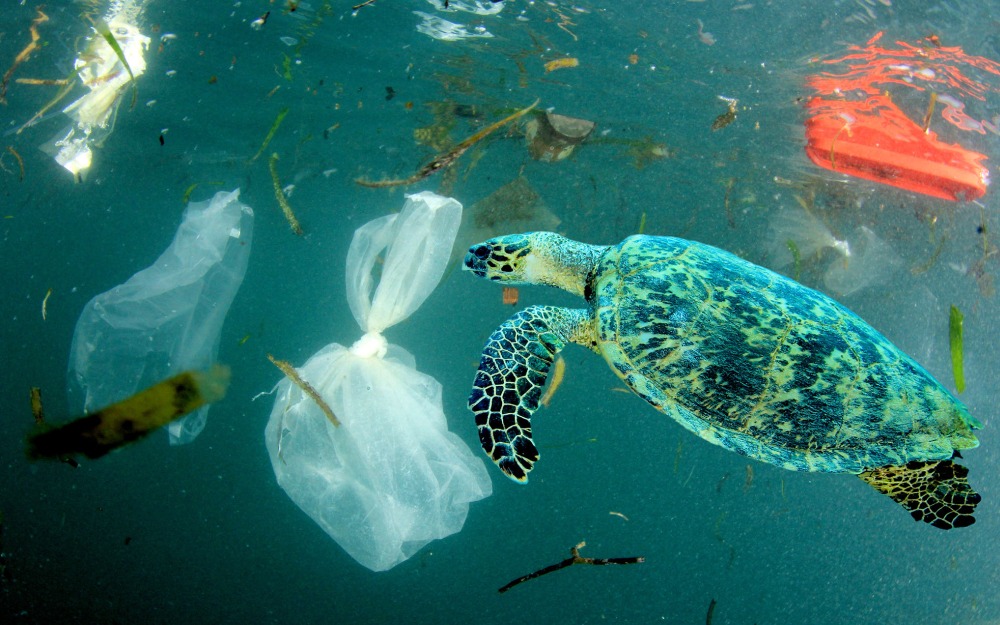 World Environment Day 2023: A Call to Action to Beat Plastic Pollution